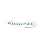 Wavenet Cat 6 PVC SOLID SHIELDED 600MHZ 1,000' REEL(red)