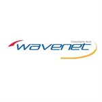 Wavenet Cat 6E PVC SC 600MHZ 1,000' BOX(pink)