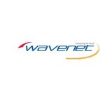 Wavenet Cat 6E PVC SC 550MHZ NO SPLINE 1,000' REELEX II(purpl