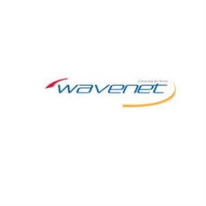 Wavenet 16 / 2C 65-Strand Riser, 500’ Reelex II Pulllbox(black)