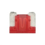 Install Bay 10 Amps Mini Low-Profile Fuses (25 pk)