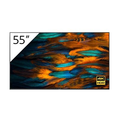 Sony Pro 55" 4K LED TV w /  3yr warranty