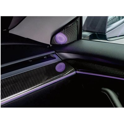 Rydeen Tesla Laser Engraved Ambient Lights 2021-2023 Model 3