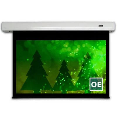 Severtson 120" 16:9 Outdoor Electric Series (Matte White)