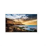 Samsung Commercial 55" 4K UHD LED Display 300nit 16 / 7 (open box pick-up)