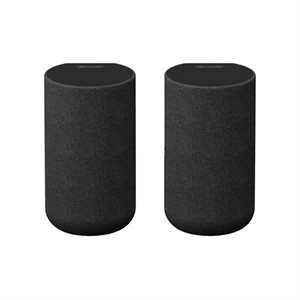 Sony Wireless Rear Home Theater Speakers