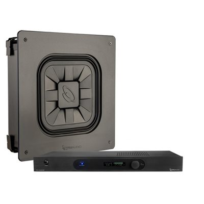 TruAudio Tremor In-Wall Subwoofer and Amplifer Package