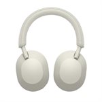 Sony Headphones with Mic(silver)